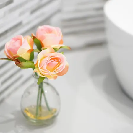 Metro Apartment Turin